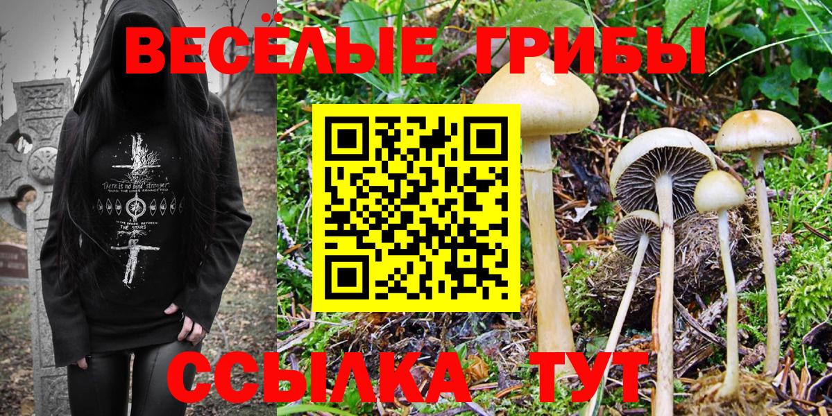 Псилоцибиновые грибы Psilocybine cubensis  Вход с VPN  Бузулук 